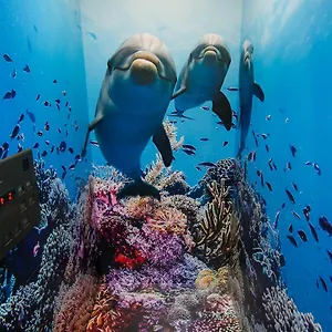  旅馆 Tabist Sparkling Dolphins